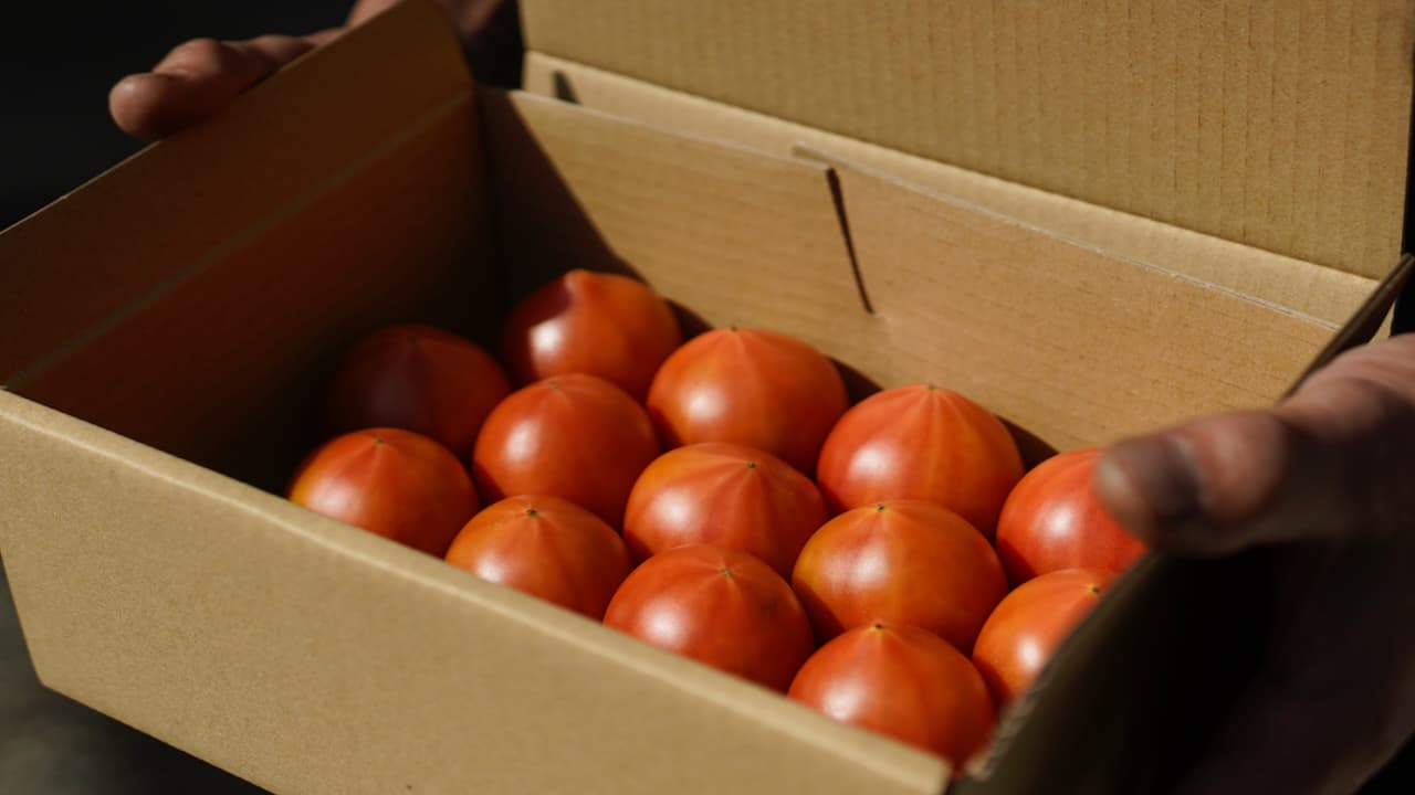 オンラインストア