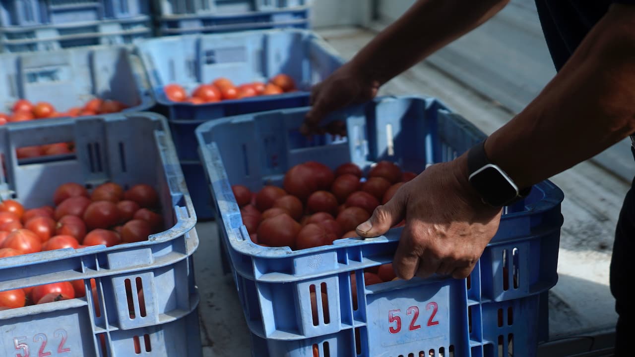 オンラインストア